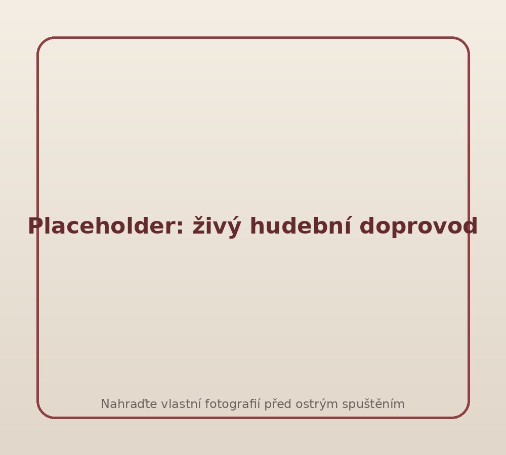 Placeholder fotografie: živý klavírní a pěvecký doprovod na svatbě nebo vernisáži